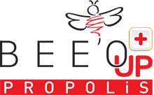 BEE UP+