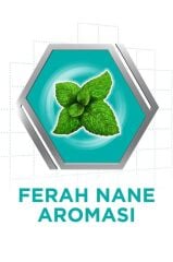 Corega Gün Boyu Güçlü Tutuş Naneli Diş Protez Yapıştırıcı Krem 40 gr SKT:03.27