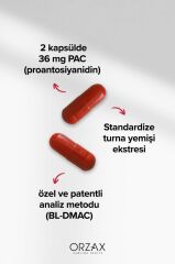 Ocean Cranberry Turna Yemişi Ekstresi 36 mg Pac 30 Kapsül SKT:03.27
